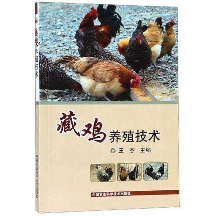 藏鸡养殖技术