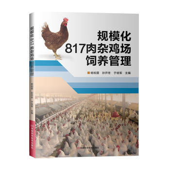 规模化817肉杂鸡场饲养管理