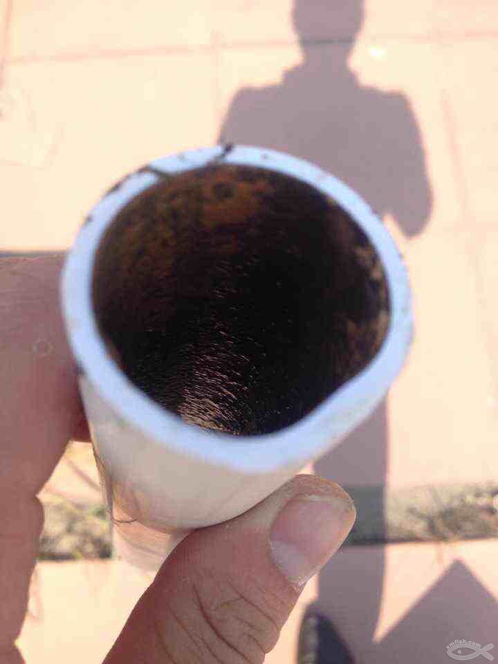 管2.jpg